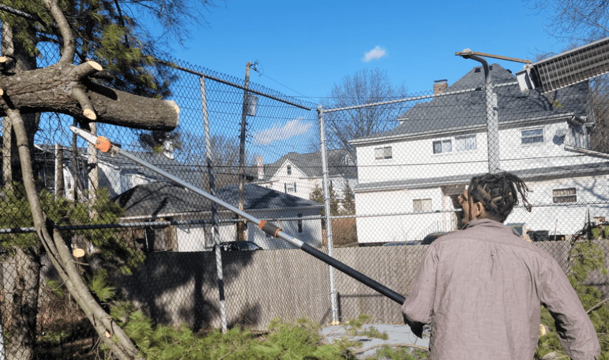 Grays Tree Service 